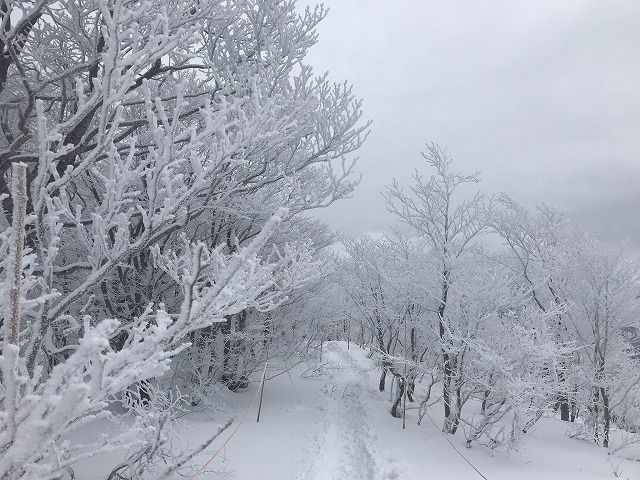 雪上徒歩ルート