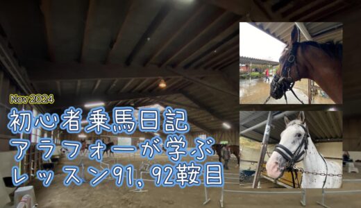 初心者乗馬日記 : アラフォーが学ぶレッスン91,92鞍目 【2024年11月】