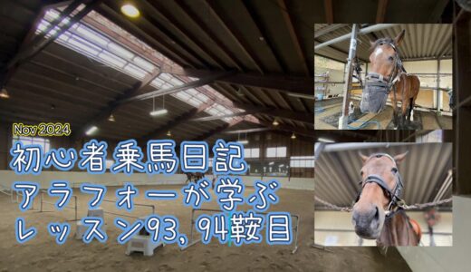 初心者乗馬日記 : アラフォーが学ぶレッスン93,94鞍目 【2024年11月】