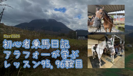 初心者乗馬日記 : アラフォーが学ぶレッスン95,96鞍目 【2024年11月】
