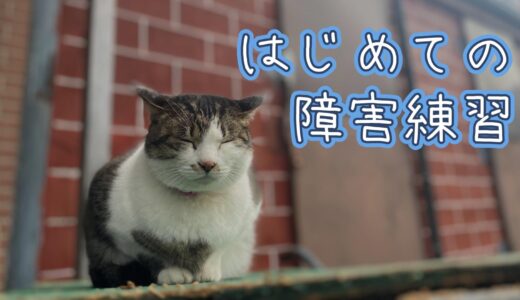 初心者乗馬日記 : アラフォーが学ぶレッスン108,109鞍目【2025年2月】