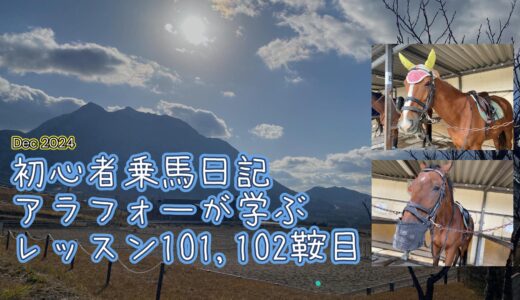 初心者乗馬日記 : アラフォーが学ぶレッスン101,102鞍目【2024年12月】