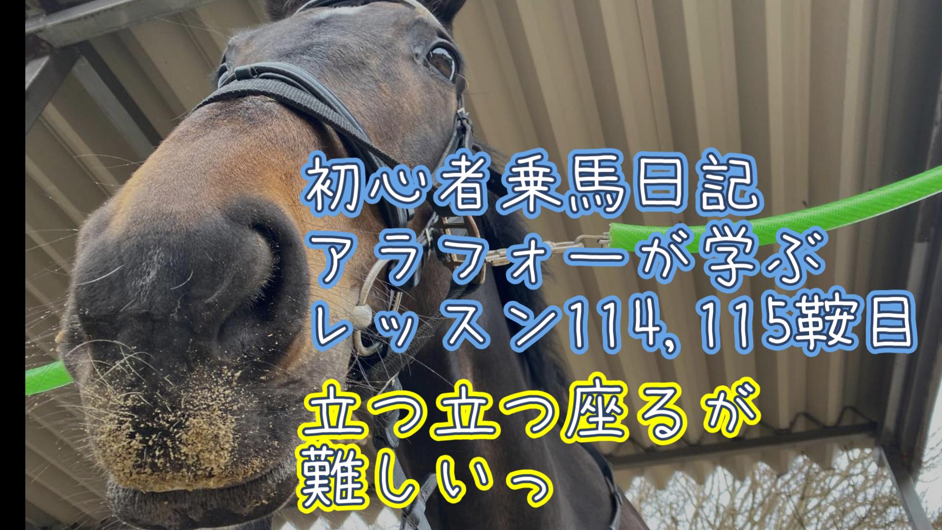 初心者乗馬日記 : アラフォーが学ぶレッスン114,115鞍目【2025年3月