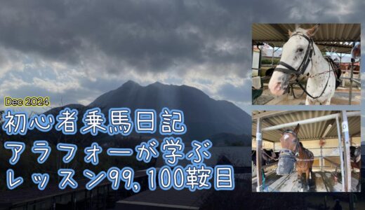 初心者乗馬日記 : アラフォーが学ぶレッスン99,100鞍目【2024年12月】